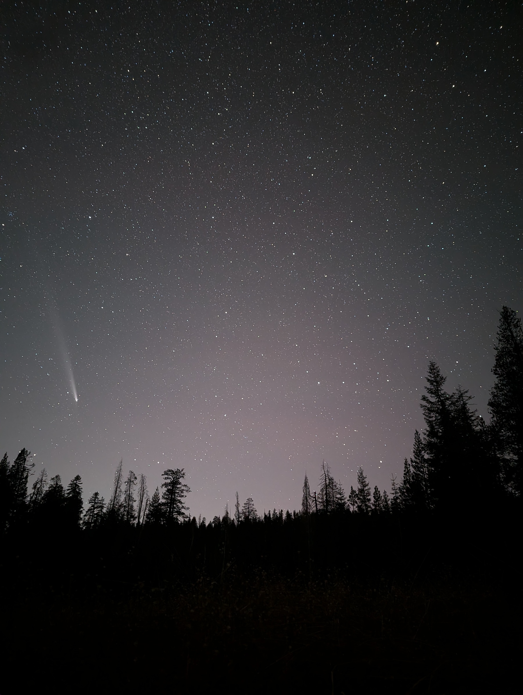 Comet C/2023 A3 (Tsuchinshan–ATLAS) in the night sky