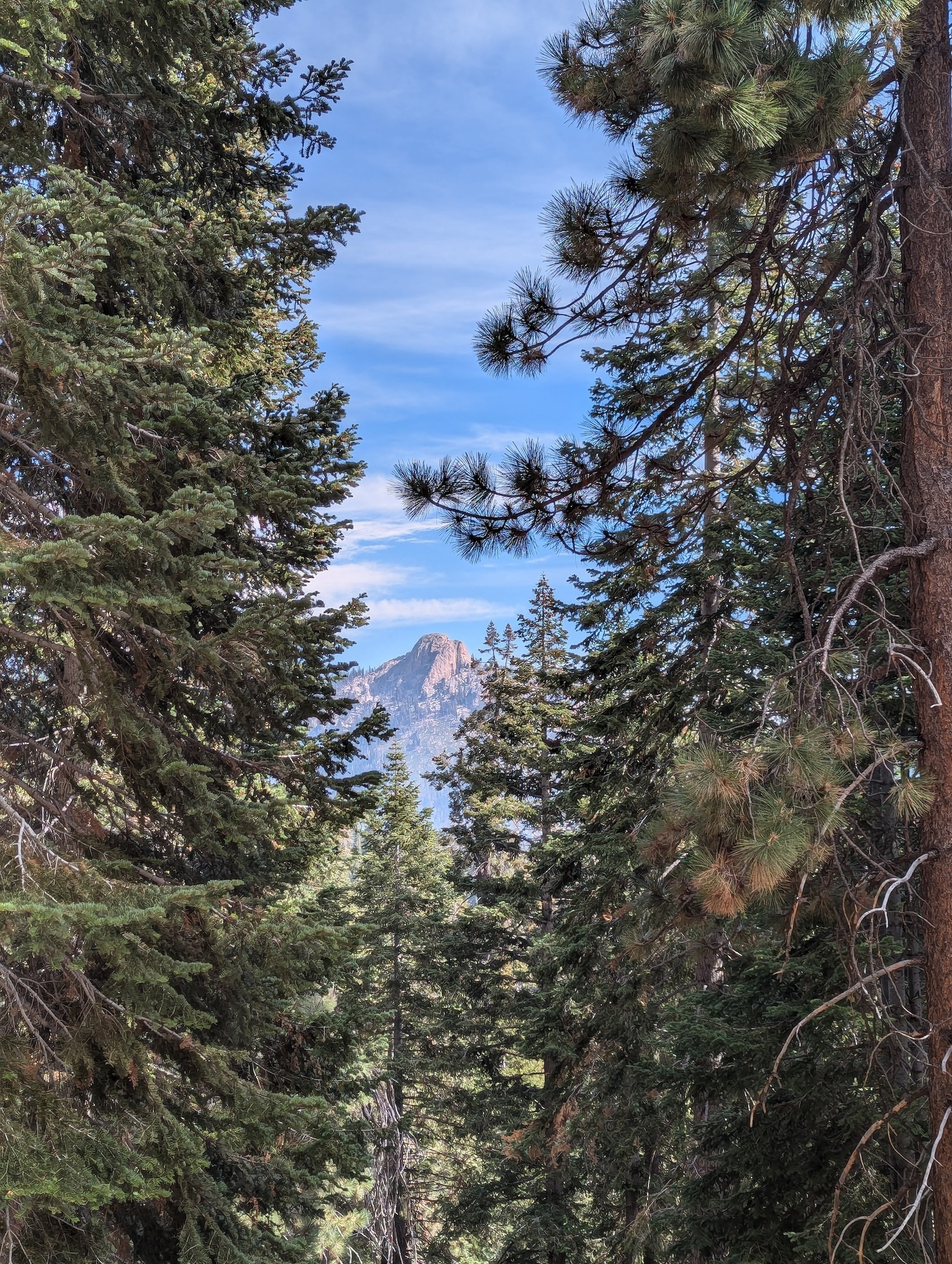 Kettle Dome viewed through trees